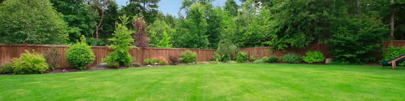 Green large fenced backyard with trees. Lush green centipede grass lawn with mature trees, shrubs, and wooden fence in residential yard