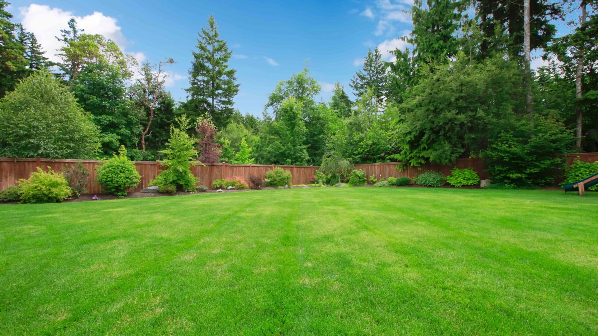 Lush green centipede grass lawn with mature trees, shrubs, and wooden fence in residential yard
