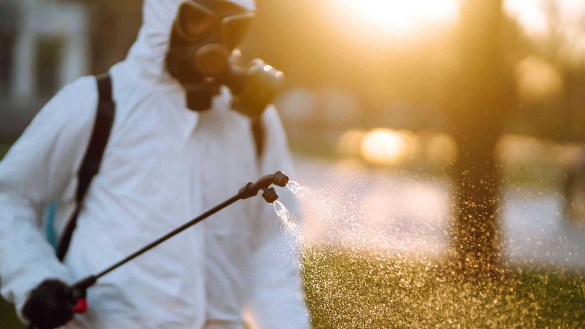 Professional pest control technician spraying fire ant treatment on residential lawn