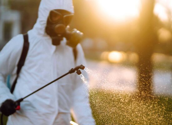 Man wearing protective suit disinfecting public places in the sun with spray chemicals. Covid -19. Professional pest control technician spraying fire ant treatment on residential lawn