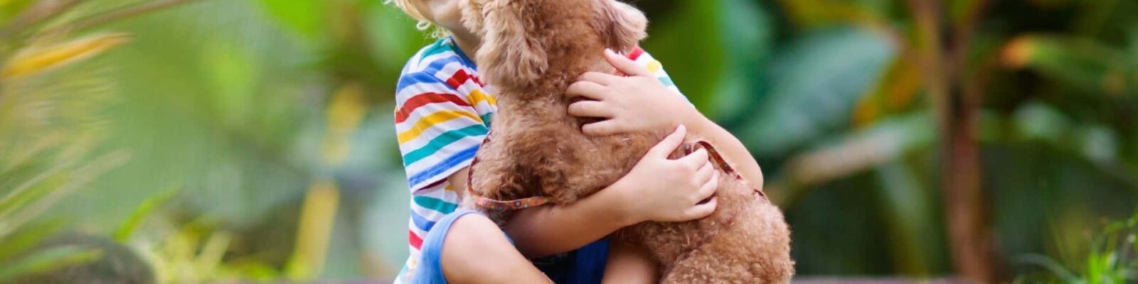 Happy child hugging brown puppy on healthy green lawn in family outdoor space