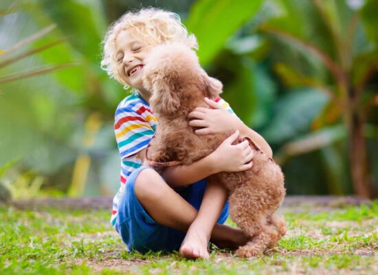 Happy child hugging brown puppy on healthy green lawn in family outdoor space