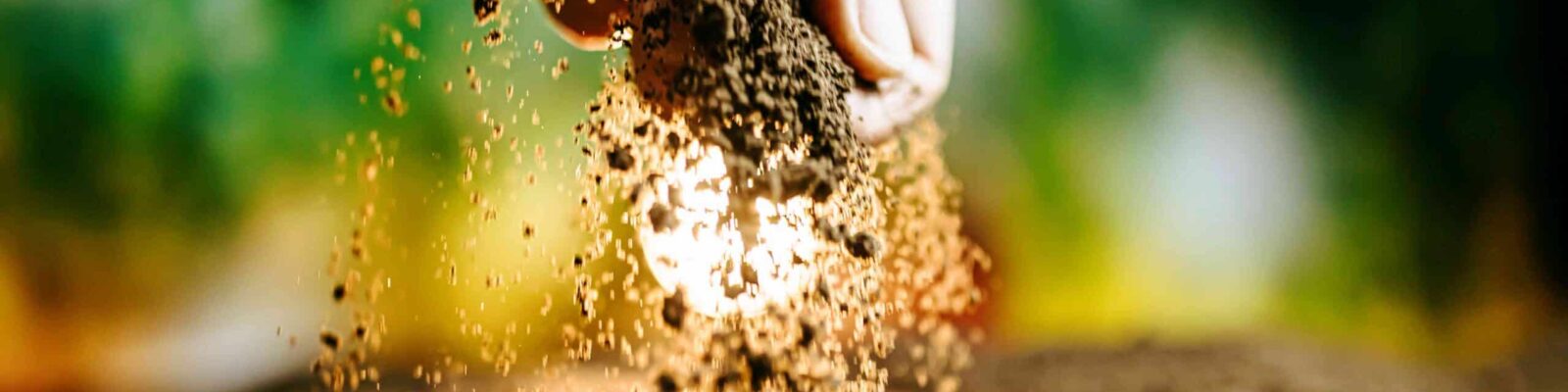 Black soil in man hands Organic gardening, agriculture. Nature close up Hand pouring nutrient-rich soil for lawn aeration and grass root improvement in yard care
